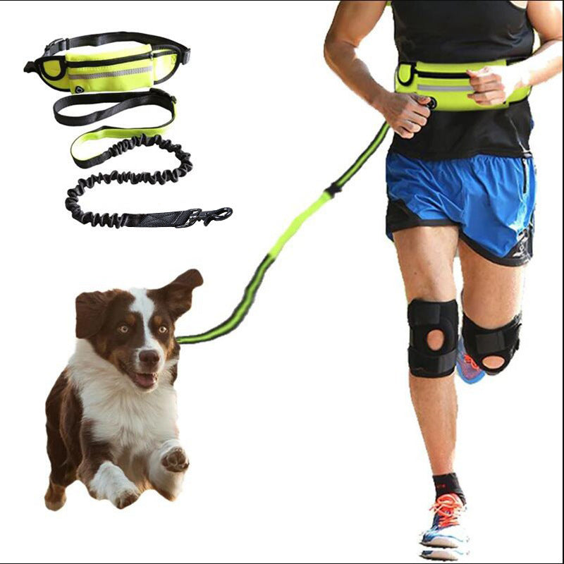 Hands Free Dog Leash Pet Walking And Training Belt With Shock Absorbing Bungee Leash For Up To 180lbs Large Dogs